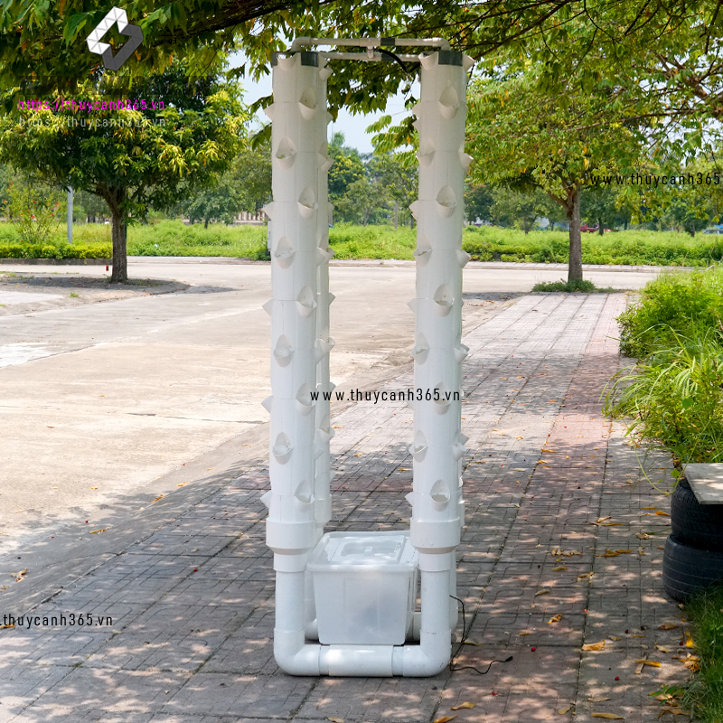 Module ghép trụ thuỷ canh